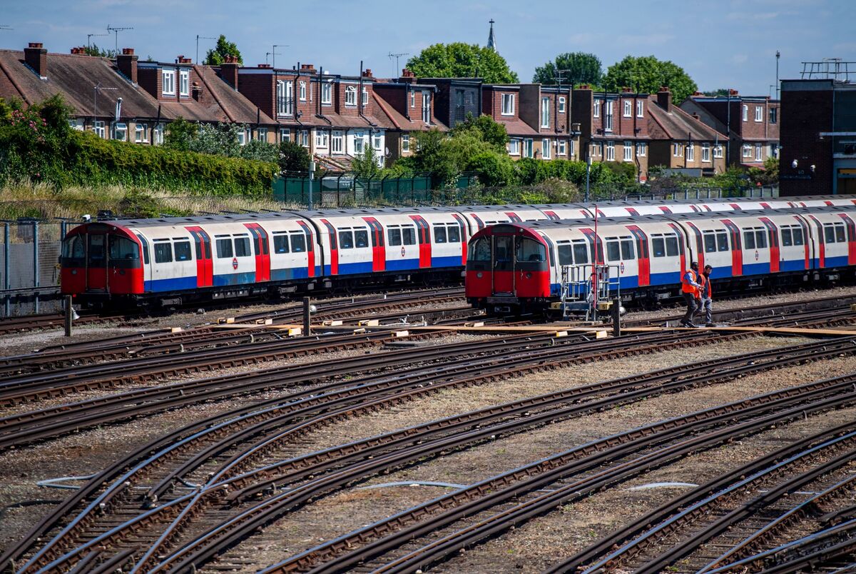 can you take dogs on trains in england