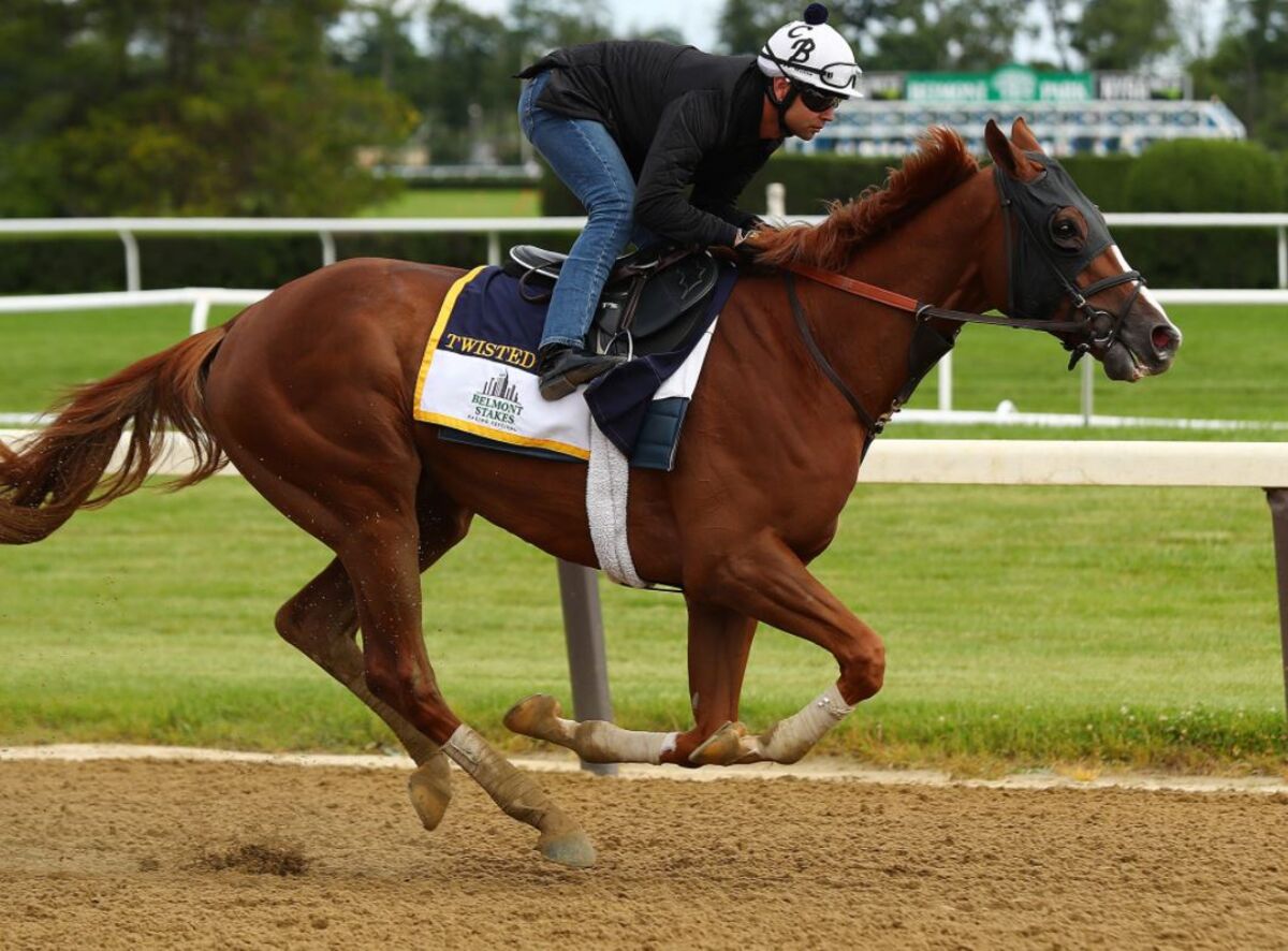 Betting a 20-1 Longshot Bomb in the Belmont: David Papadopoulos - Bloomberg