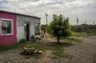 relates to Wind Project Splinters a Mexico Region Prized for Powerful Gusts