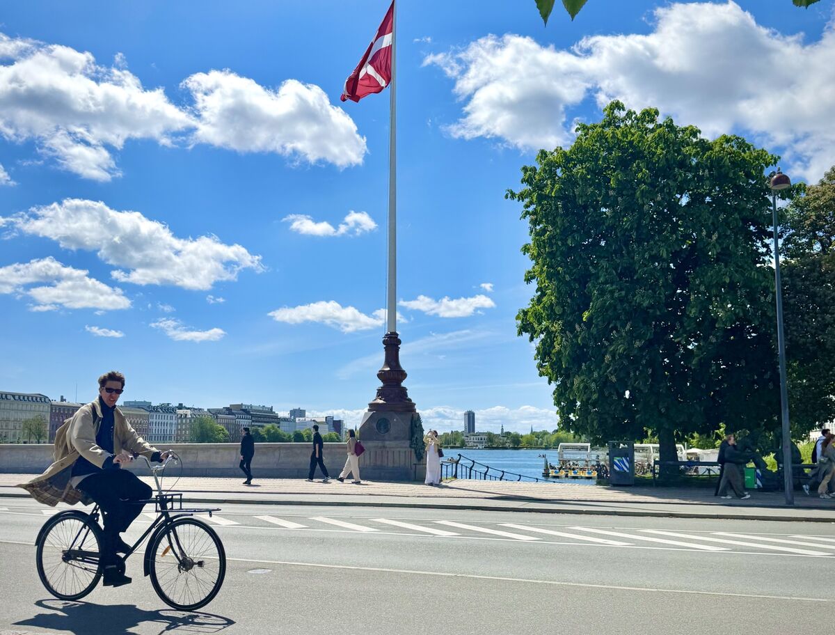 Denmark Versus the Goliaths
