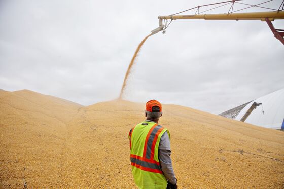 Trump's Trade War Is Driving Soybean Farmers to Corn