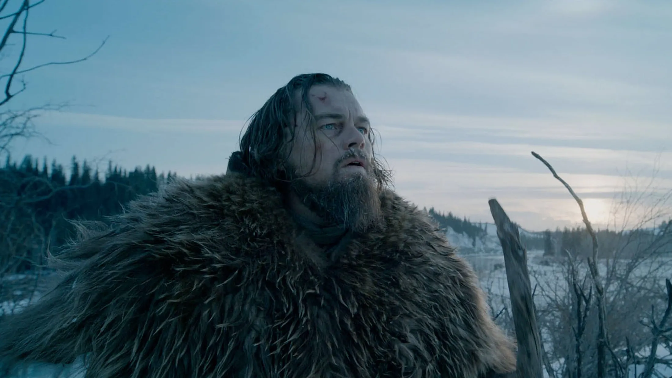 The Revenant. Source: Twentieth Century Fox Film Corp.
