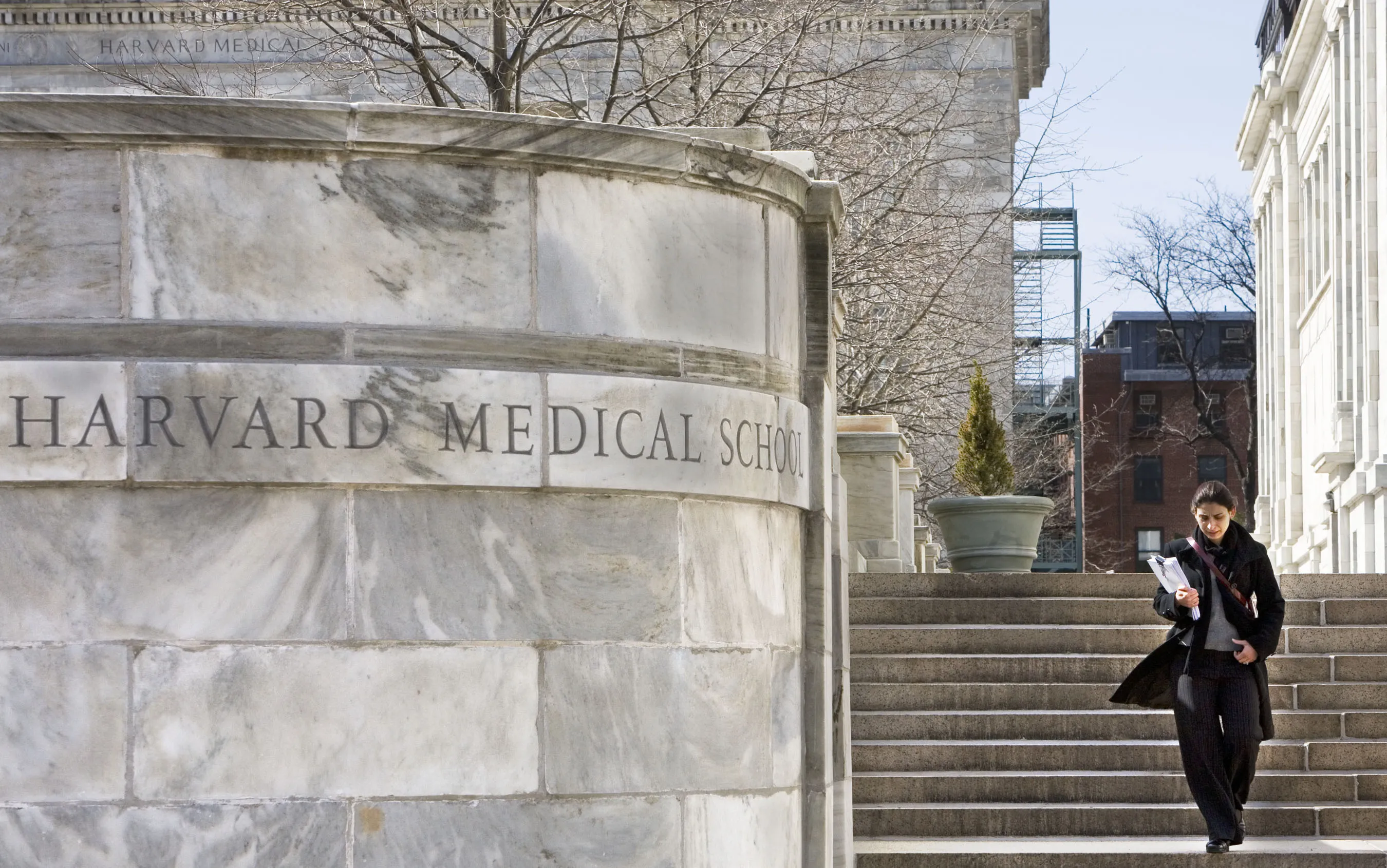 In Med School, It Can Pay to Skip Class. What’s Wonky Here?
