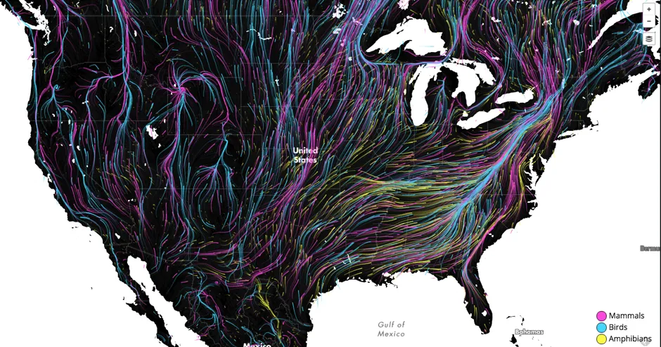 Mapping How Climate Change and Manmade Barriers Will Affect Animal ...