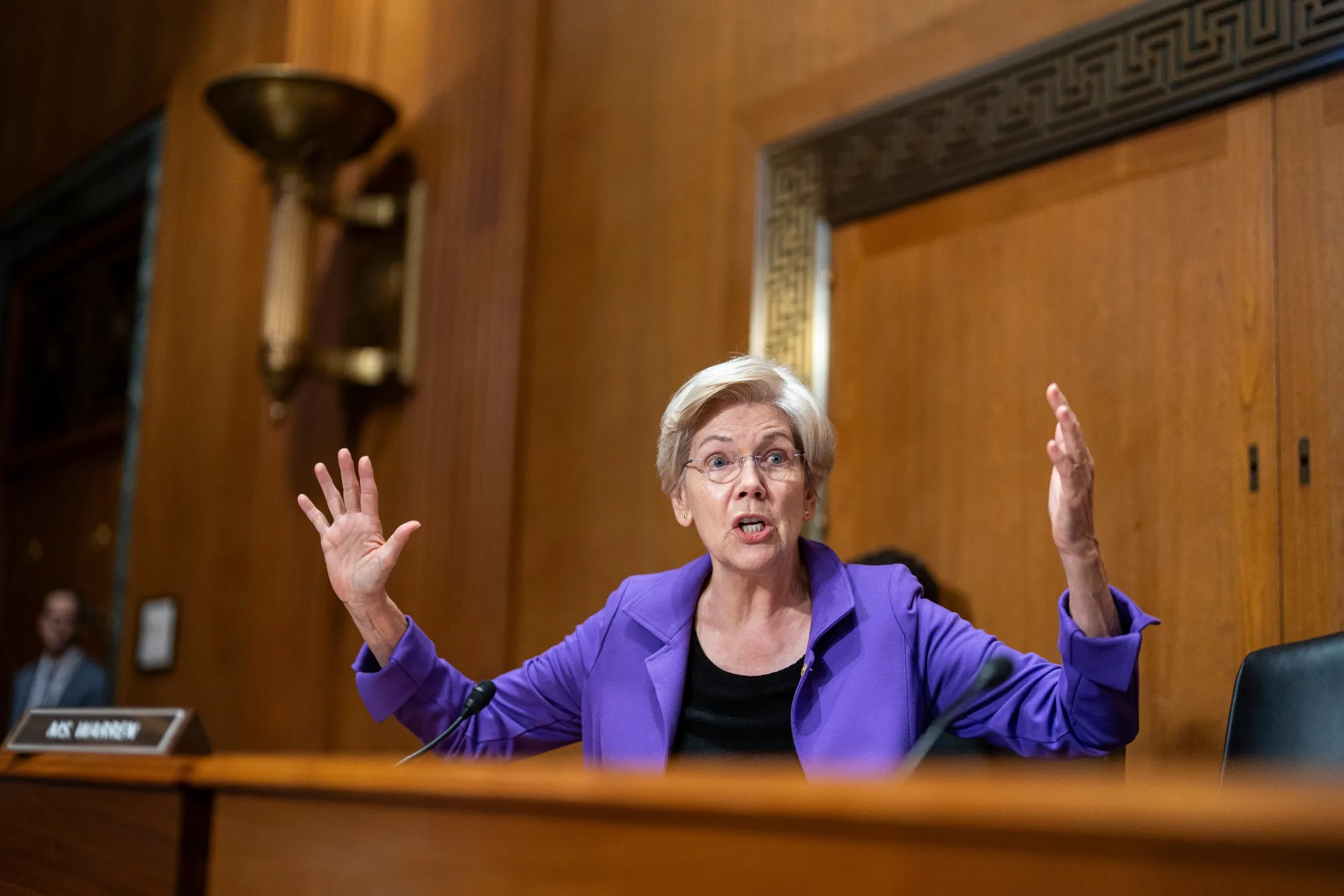 Senadora Elizabeth Warren