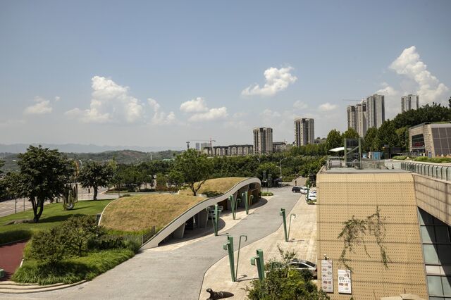 In Chongqing, rooftop lawns and gardens are designed to soak up rain.