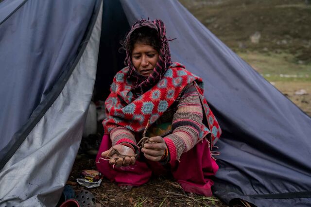Tara Rawat at her tent with some of her the cordyceps she found resting in the palm of her hand.