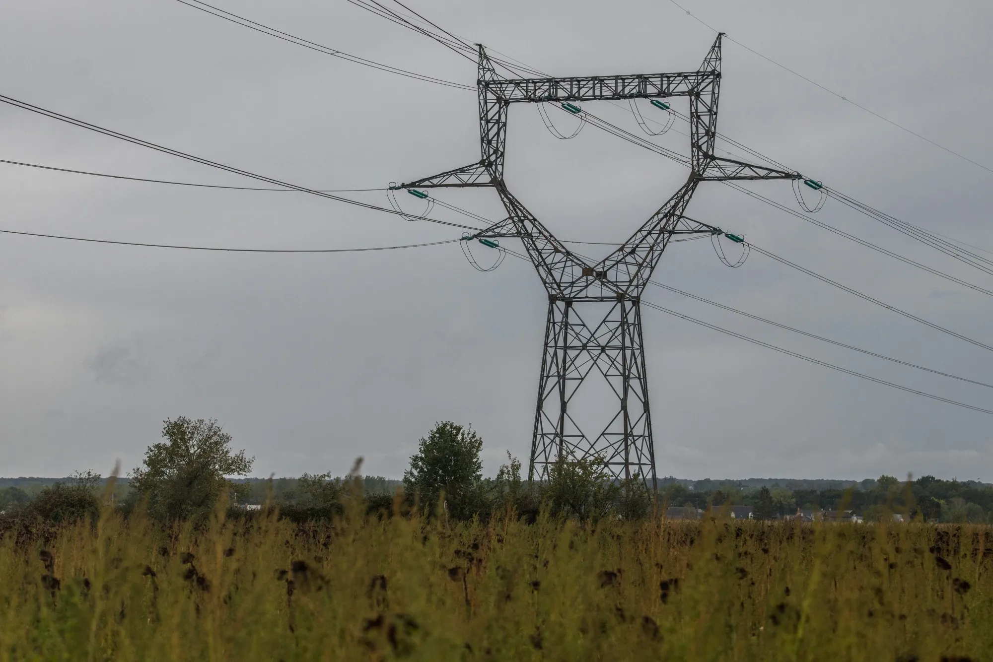 An electricity tower and power cables in a sunflower field in Avoine, France, on Wednesday, Sept. 8, 2022.&nbsp;