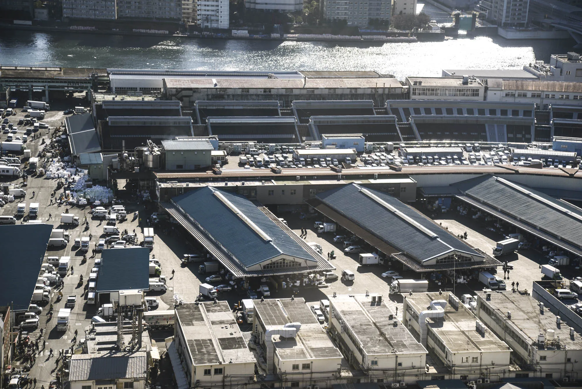 A Guide To Visiting Tokyos Famed Tsukiji Fish Market Savvy Tokyo