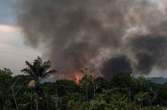 From Trump to Bolsonaro, Climate Skeptics Stir Green Activism