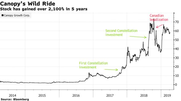 Stock has gained over 2,100% in 5 years