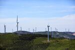 Suitors Chase EDP-Energias de Portugal SA's $8.5 Billion Renewables Unit