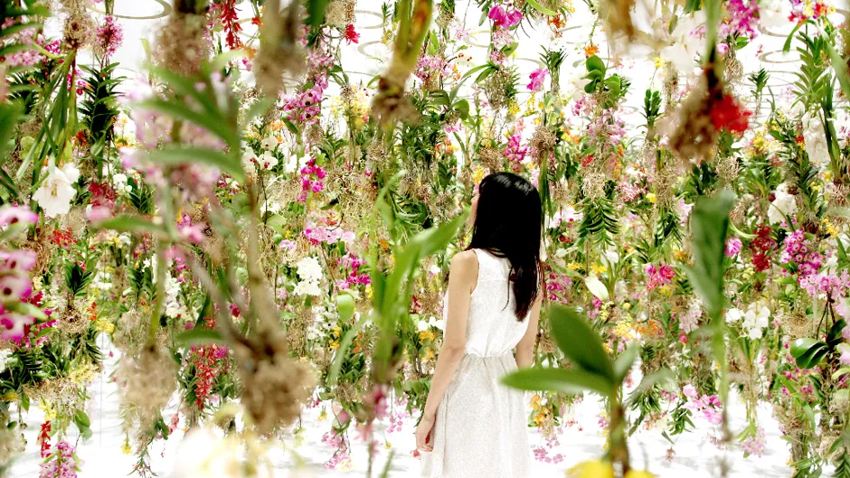 A New Immersive Art Exhibit in Tokyo, 'Floating Flower Garden,' Is More ...