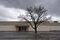 0519_BIZ_Sears_02