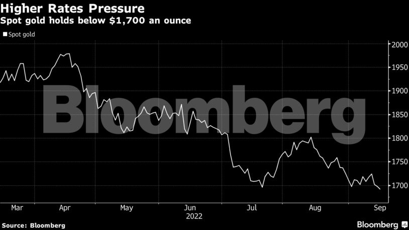 Spot gold holds below $1,700 an ounce