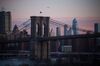 Birds fly over the Brooklyn Bridge in New York, U.S., on Friday, Feb. 1, 2019. U.S. stocks eked out a small gain as a better-than-expected jobs report and signs of progress in trade talks overshadowed a disappointing sales forecast from Amazon.
