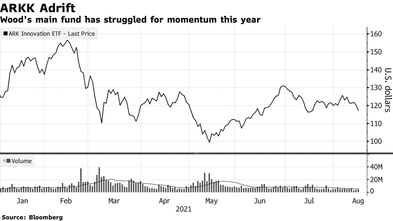 Wood's main fund has struggled for momentum this year