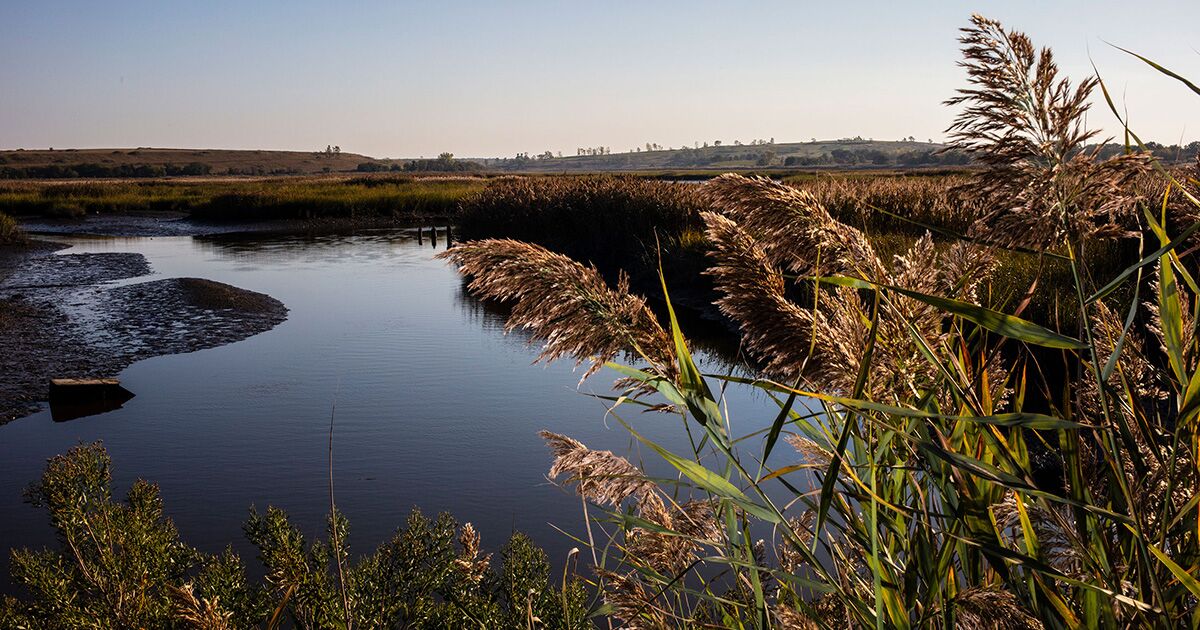 How NYC Transformed the World's Largest Landfill Into a Park - Bloomberg