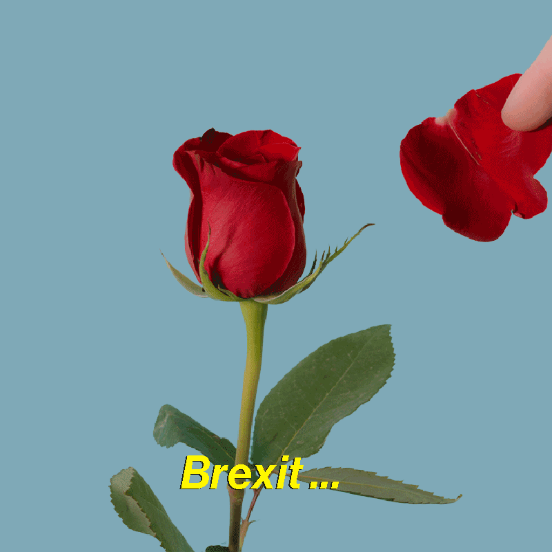 econ_brexit06_CMS