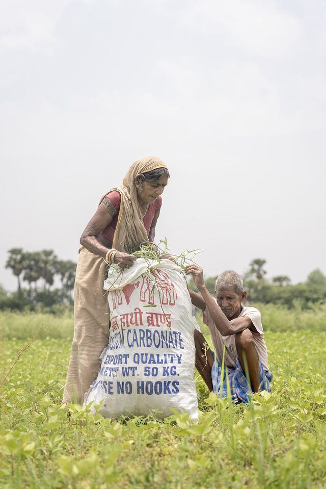 Farmers laboring in rural Bihar.