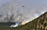 US Restarts Burns of Forest Fuel, Paused After Runaway Blaze