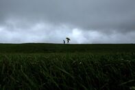 relates to Cristobal Weakens to Tropical Depression, Rains Persist