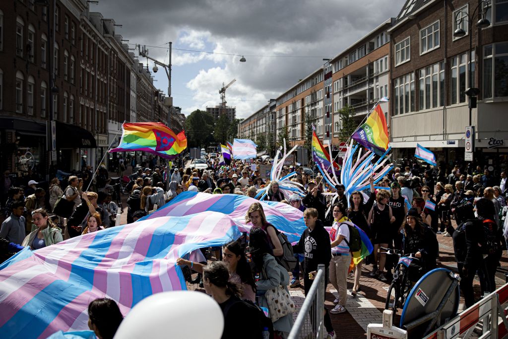 LGBT history in the Netherlands - Wikipedia