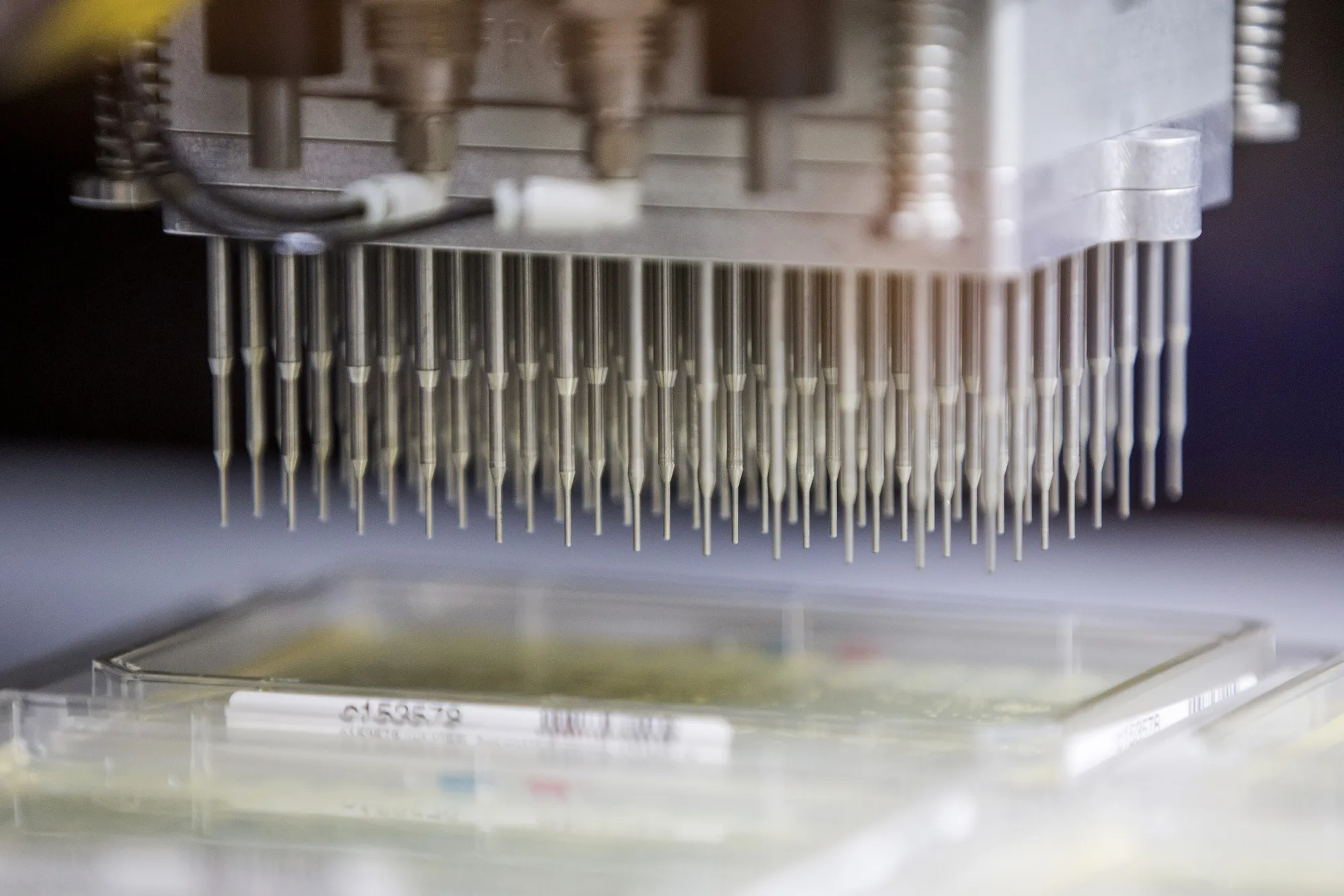 An automated inoculator machine is seen at the Ginkgo Bioworks Inc. facility in Boston.&nbsp;