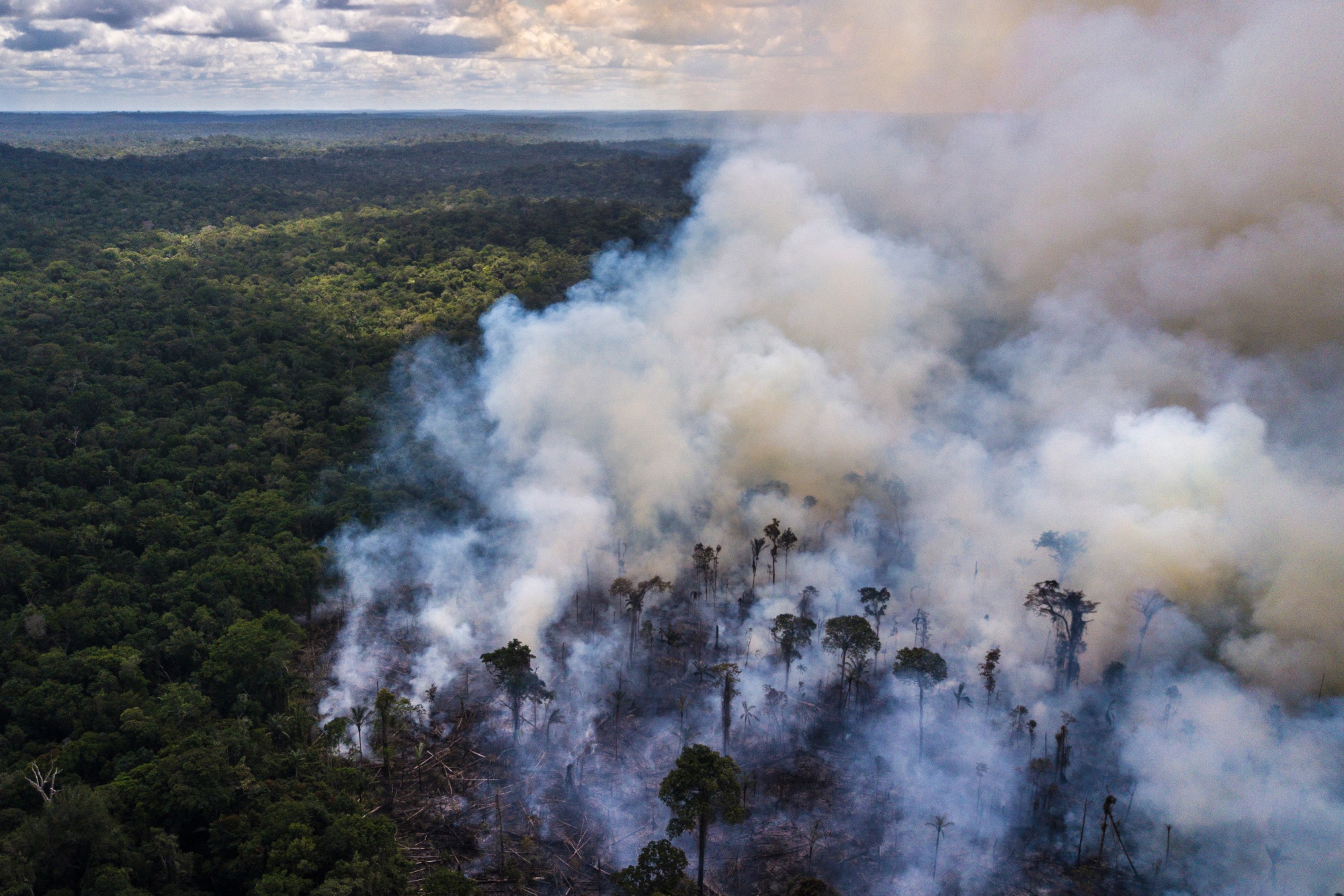Amazon Rainforest Fire Season Starts With Outlook For Record Burn Bloomberg