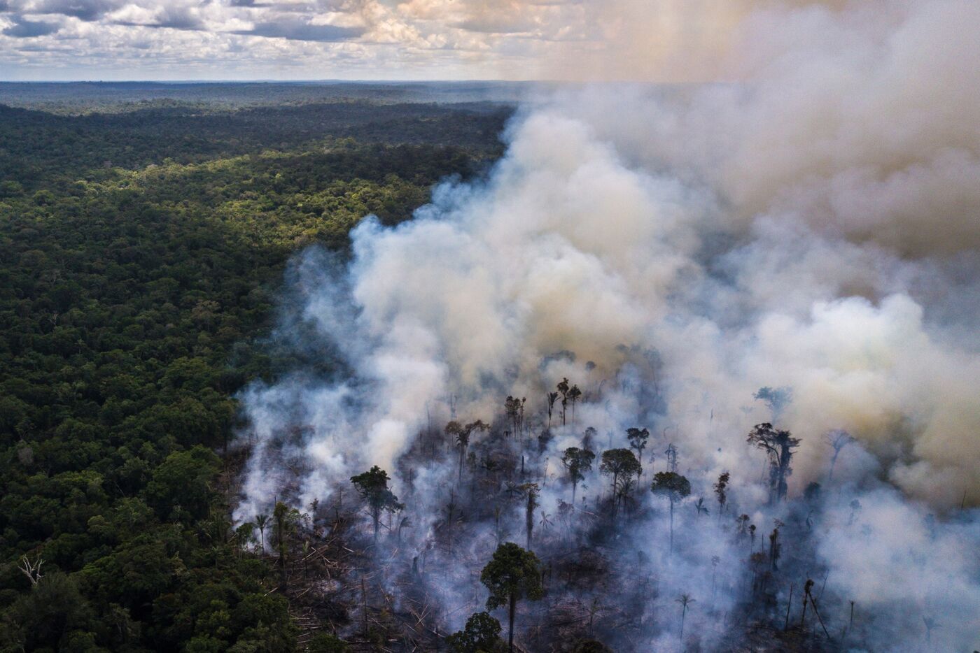 Amazon Rainforest Fire Season Starts With Outlook for Record Burn ...