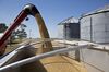 Operations During A Soybean Harvest As Crop Price Fluctuates