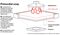 news_tech15_carbon_720