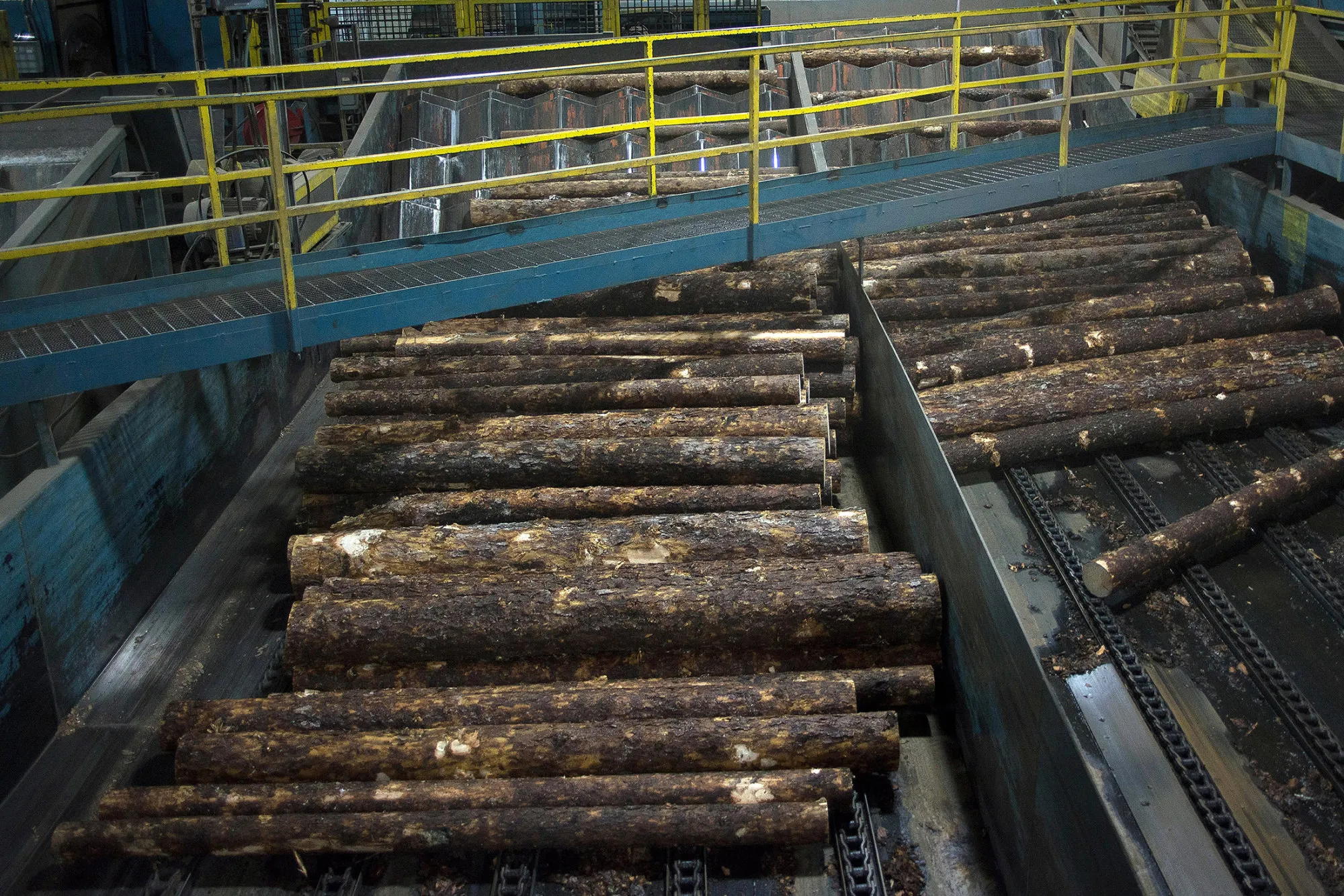 Raw lumber moves into the saw mill at the Resolute Forest Products facility in Thunder Bay, Canada.