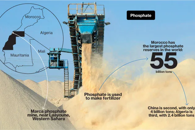 Amid Moroccan Investment in Western Sahara, Tensions Simmer