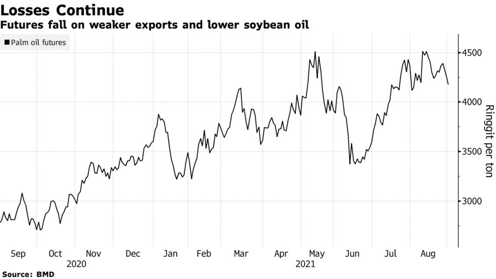 Palm Oil Extends Losses On Poor Exports And Stronger Ringgit Bloomberg