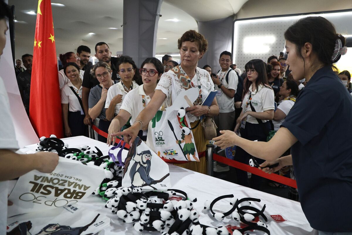 
                            China Not COP30 Climate Leader Activists Wanted After US Exit Under Trump