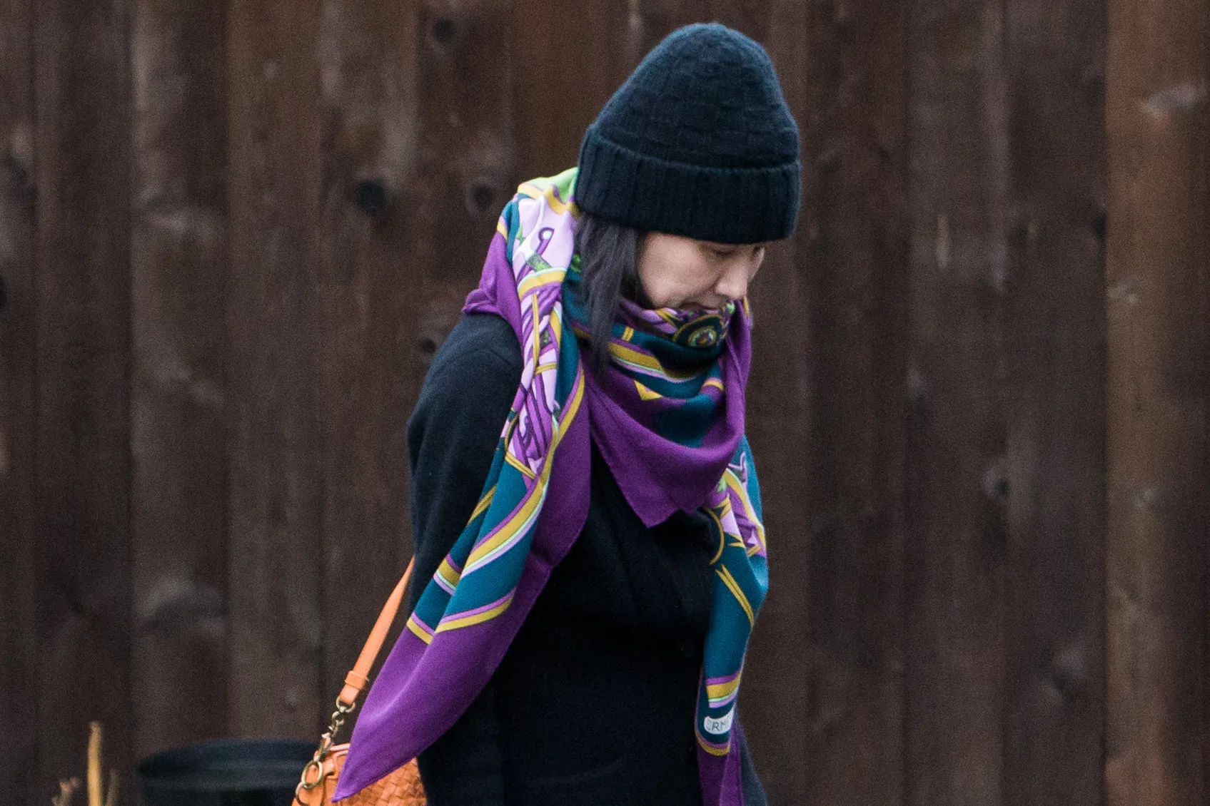 Meng Wanzhou