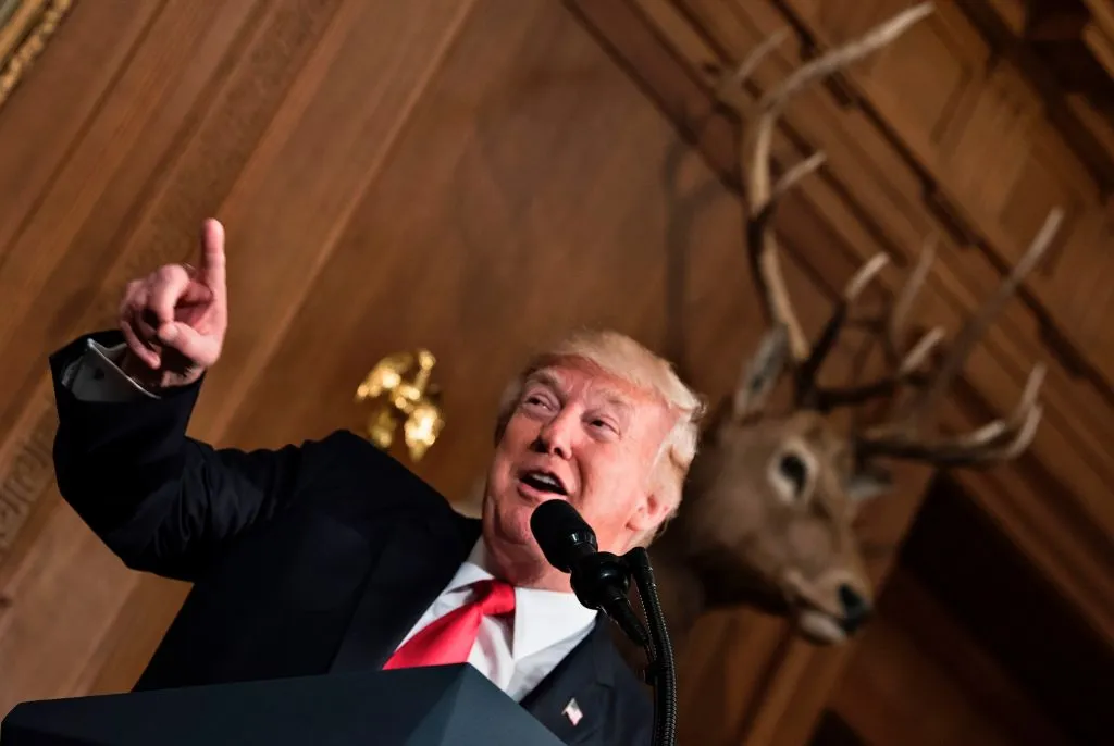 Deer. Leader.

