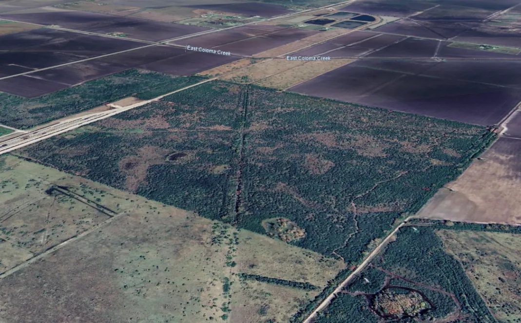The site of the Lynas rare earths processing facility in Texas in 2022.