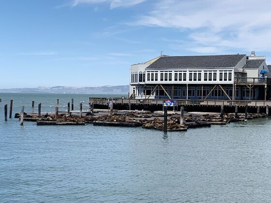 Down on Fisherman’s Wharf, the Sea Lions Bark at Empty Piers