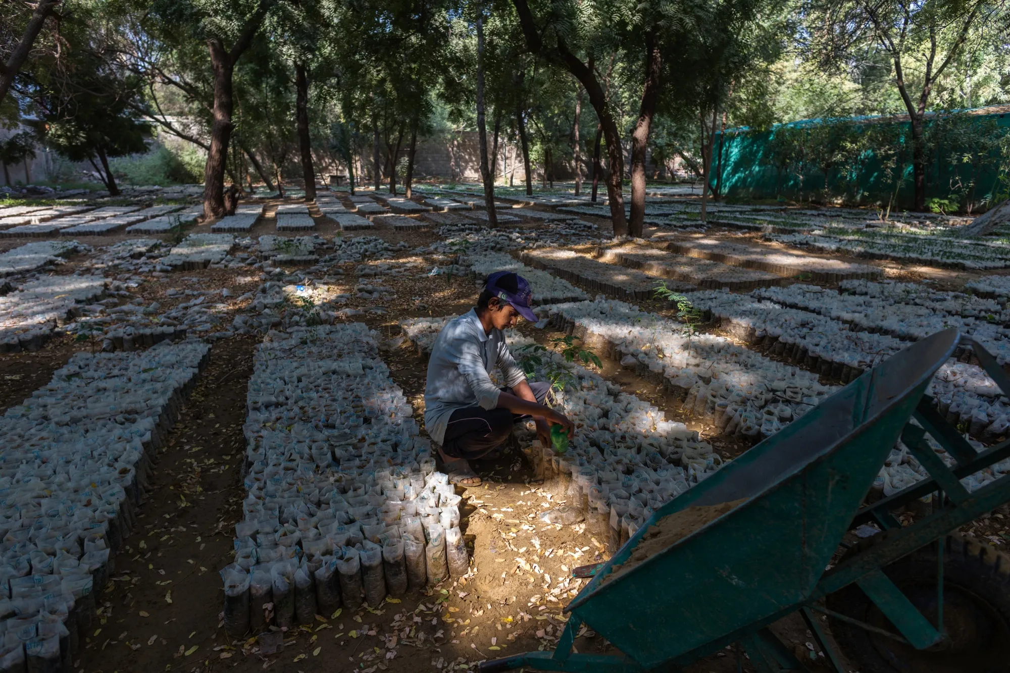 A worker prepares planting bags at the Model Colony forest nursery in Karachi.&nbsp;