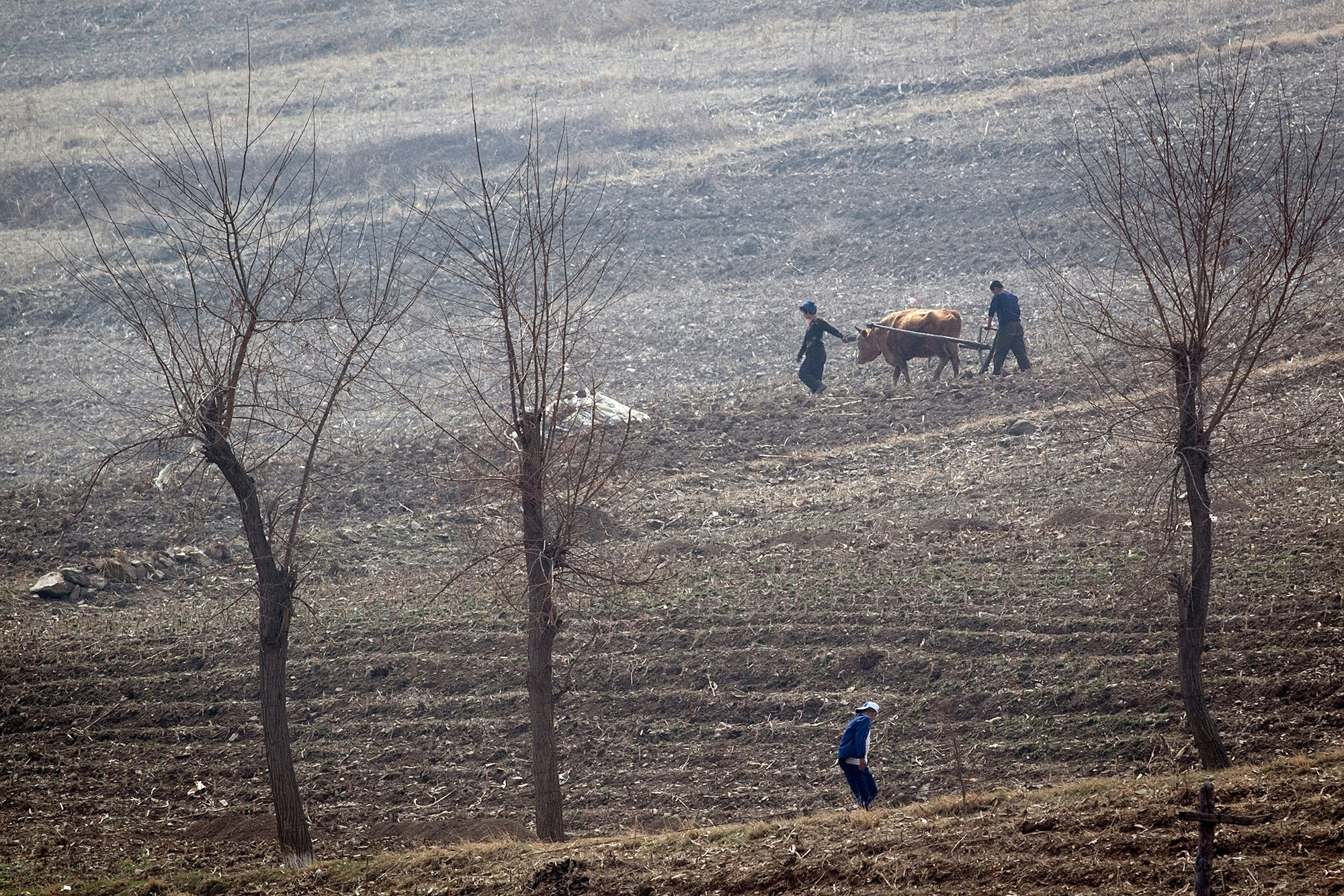 10 Million North Koreans Face Food Shortages After Bleak Harvest ...