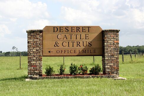 The entrance to Deseret Cattle & Citrus, St. Cloud, Fla.