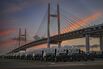 Vehicles at Yokohama Port