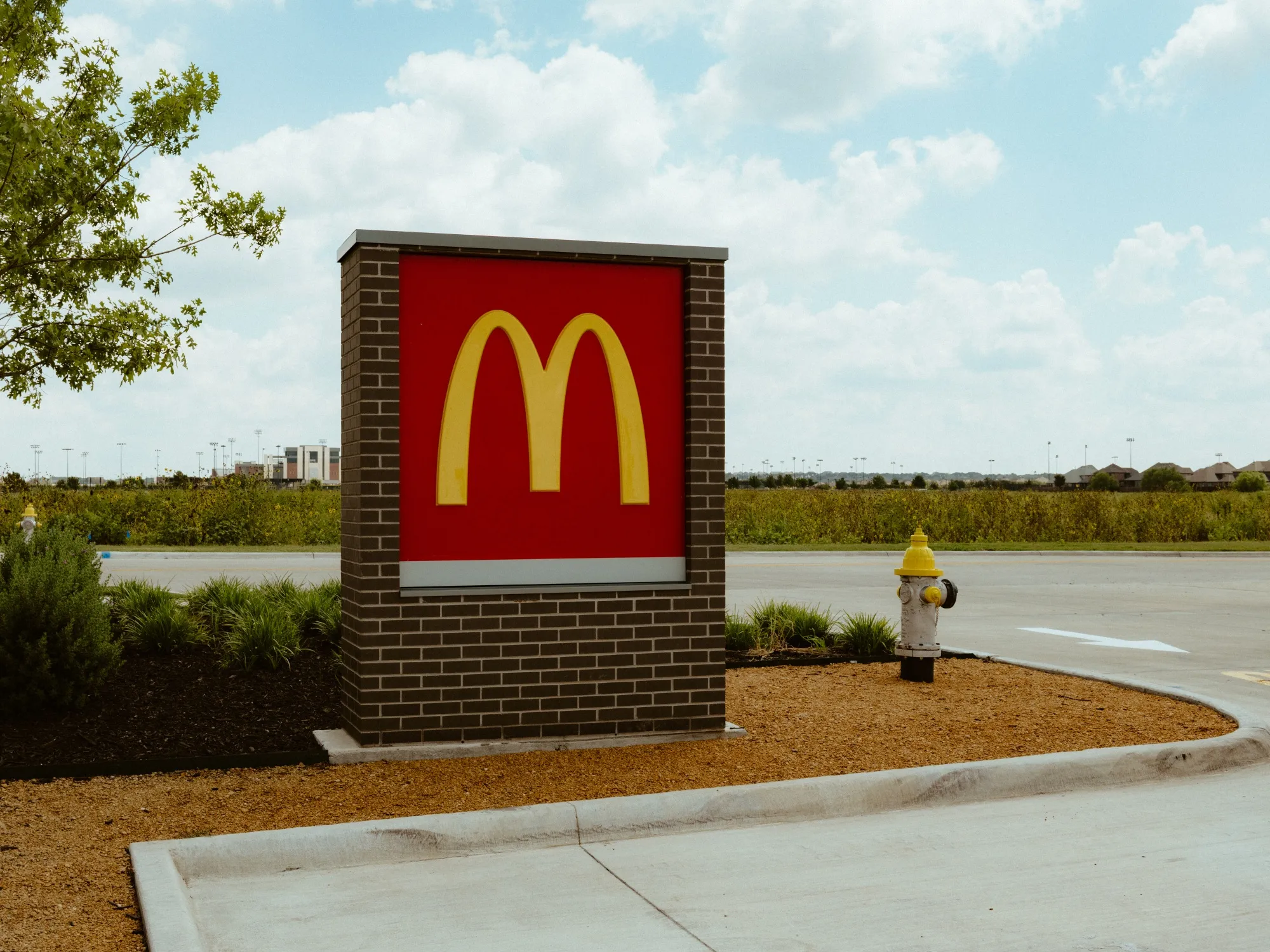 A McDonald's restaurant has opened across from a sunflower field&nbsp;in Prosper.&nbsp;