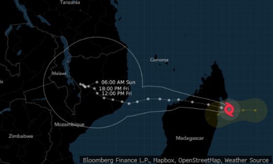 Global Vanilla Prices Could Climb After Cyclones, Late Blooming in Madagascar