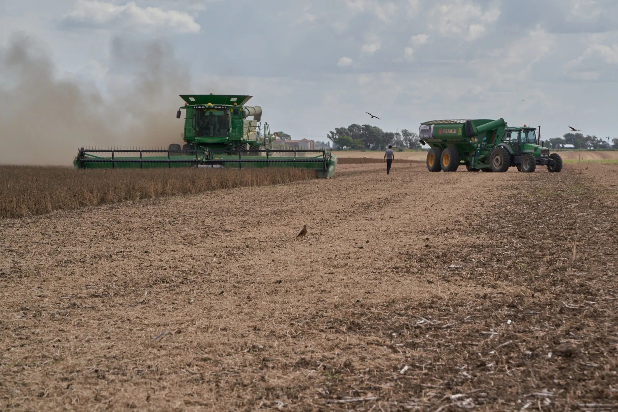 A combine harvester cuts through a field of soybean plants at a drought-affected farm in San Jose de la Esquina, Argentina, on April 6.