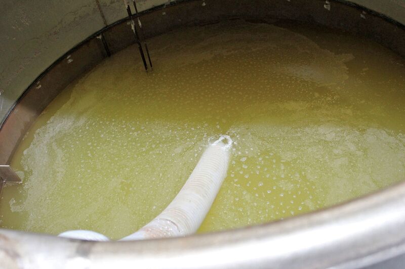 A vat of fermenting glucose, part of the fuel-from-cotton process.