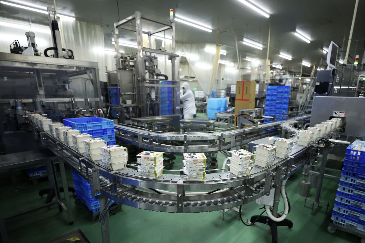 Japan Business Activity Strongest Since 2023 on Takaichi’s Push