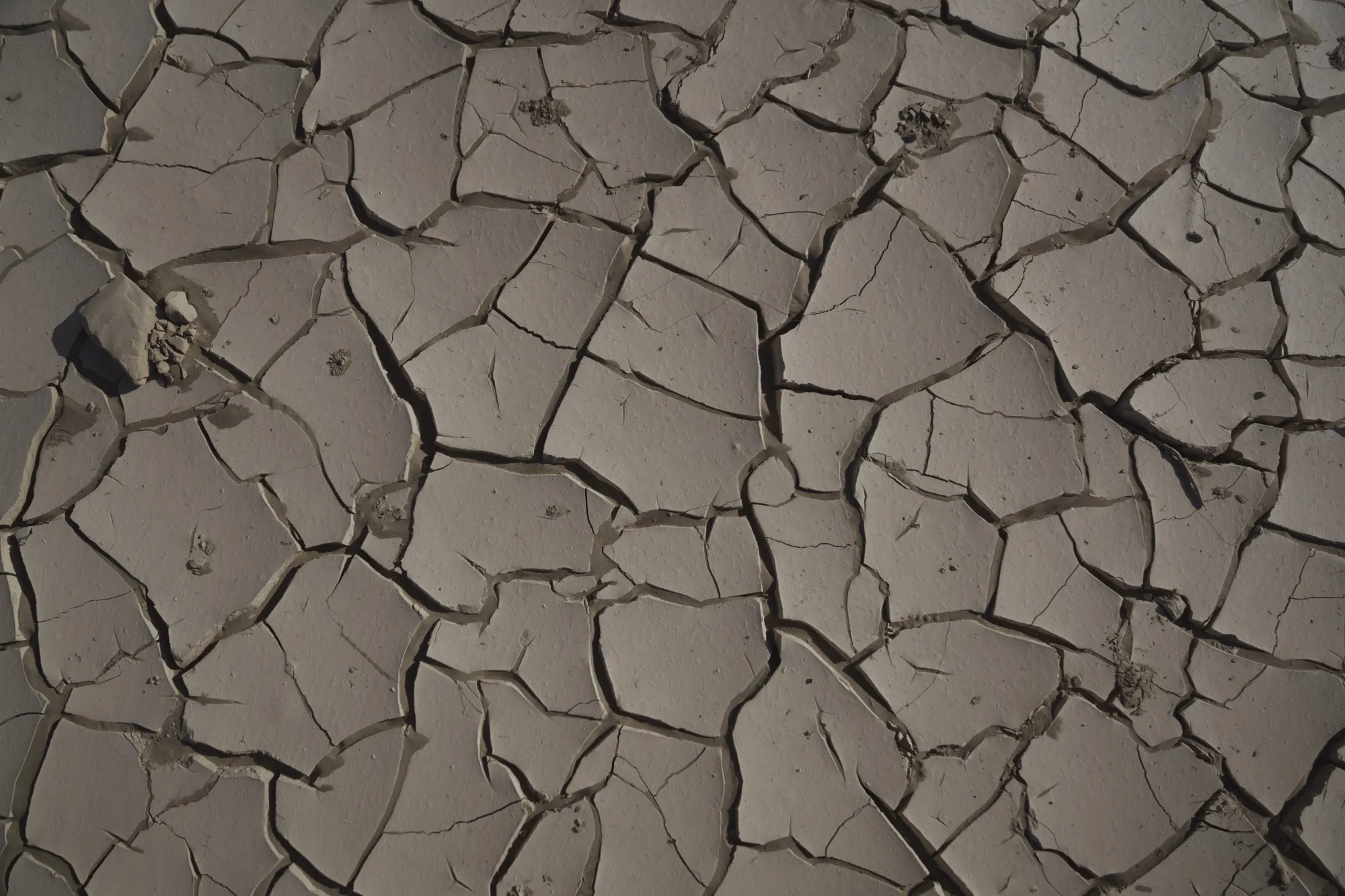 Dried mud&nbsp;in California’s Death Valley&nbsp;in&nbsp;September&nbsp;2022.